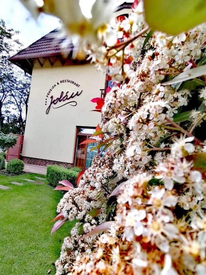 Jolan Pension & Restaurant Cicov Eksteriør bilde